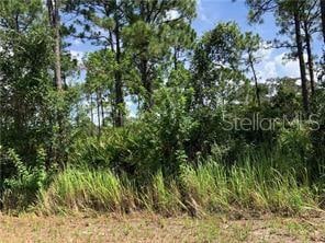 1127 Lake Groves Rd NW, Lake Placid FL, 33852 land for sale