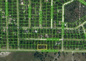 Listing photo 2 for 1127 Lake Groves Rd NW, Lake Placid FL 33852