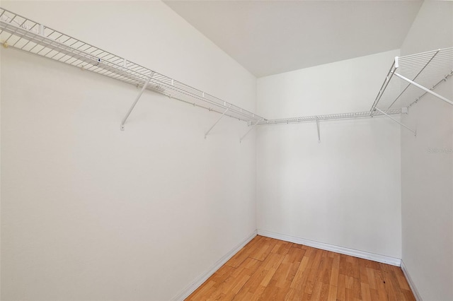 spacious closet with wood-type flooring