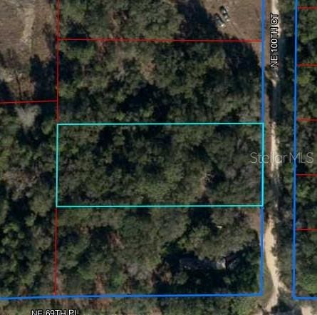 LOT2 NE 100th Ct, Bronson FL, 32621 land for sale