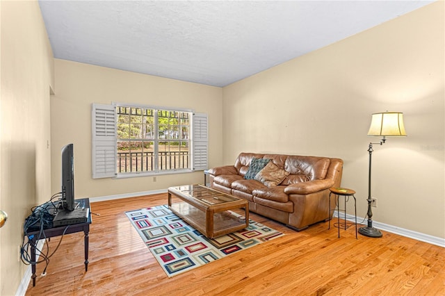 living room featuring wood-type flooring