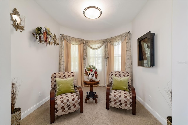 living area featuring light carpet