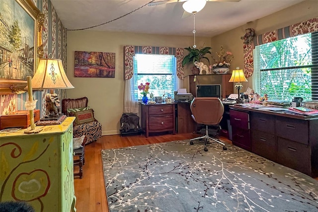 home office with hardwood / wood-style floors and ceiling fan