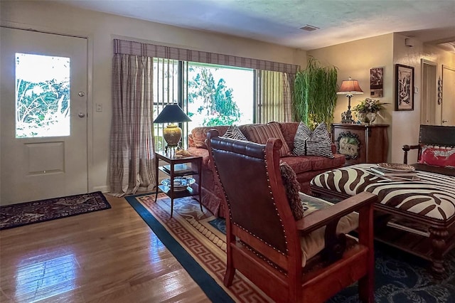 living room featuring dark hardwood / wood-style flooring