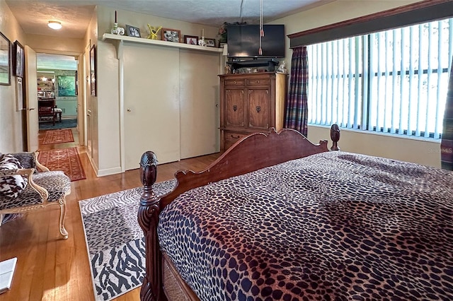 bedroom with a closet and light hardwood / wood-style flooring