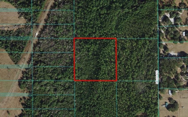 TBD NE 130th Ave, Fort Mc Coy FL, 32134 land for sale