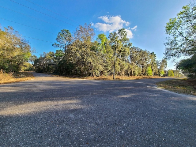 00 SE Guava Lane Trak, Ocklawaha FL, 32179 land for sale