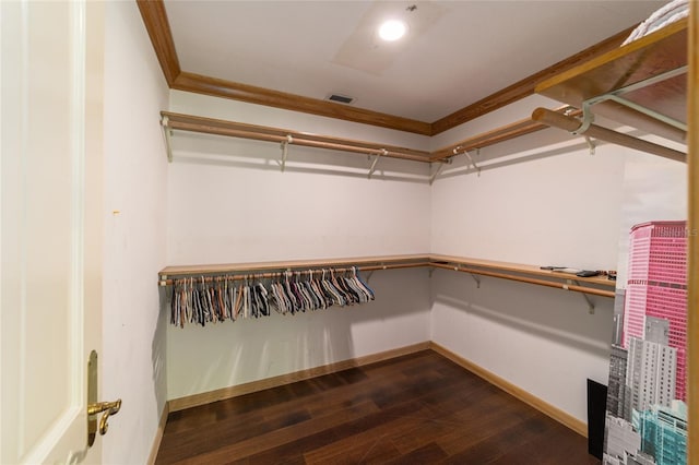 walk in closet with dark hardwood / wood-style floors