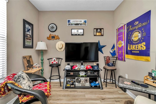 living room featuring light wood-type flooring