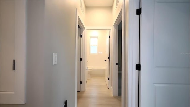 hall featuring light hardwood / wood-style floors