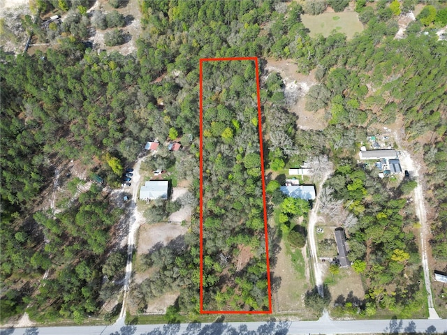 SW 183rd Ter, Dunnellon FL, 34432 land for sale