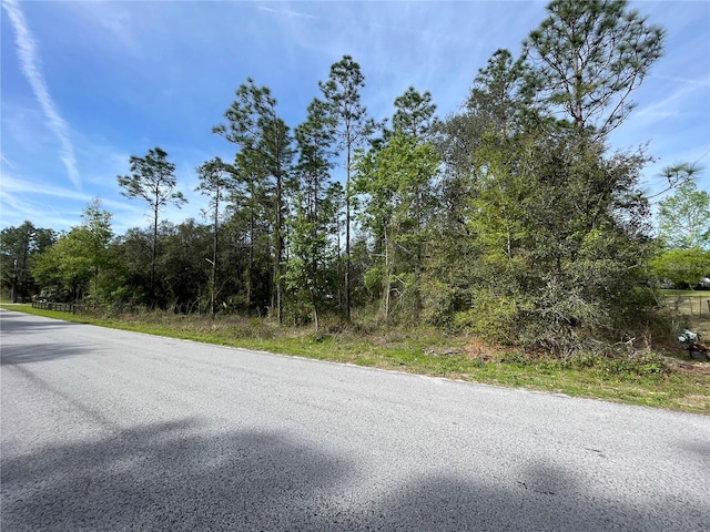 Listing photo 2 for SW 183rd Ter, Dunnellon FL 34432