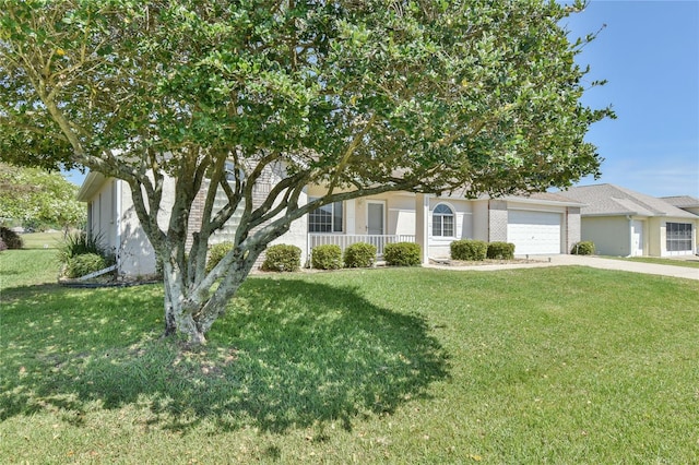 view of property hidden behind natural elements with a front lawn and a garage