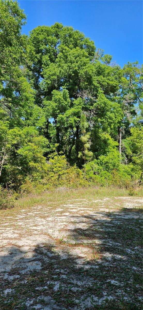 Listing photo 2 for TBD SW 131st Ter, Dunnellon FL 34432