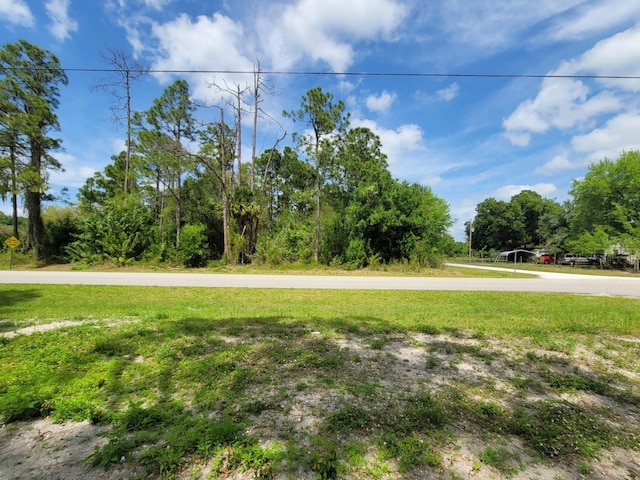 421 Avenida Del Sur, Clewiston FL, 33440 land for sale