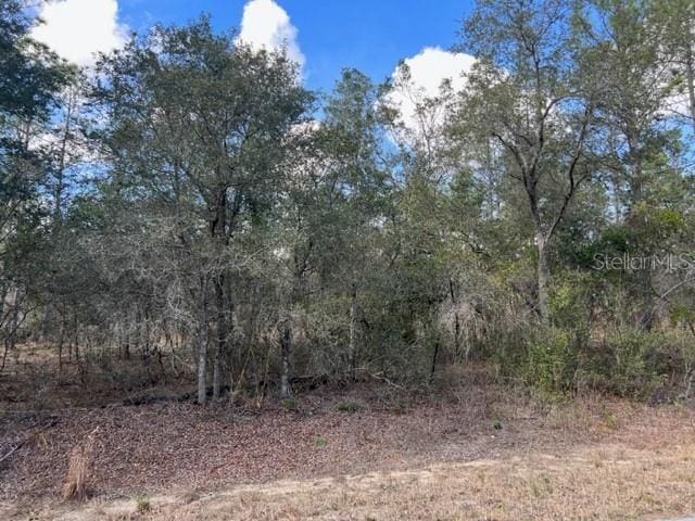 0 SE 144th Ln, Summerfield FL, 34491 land for sale