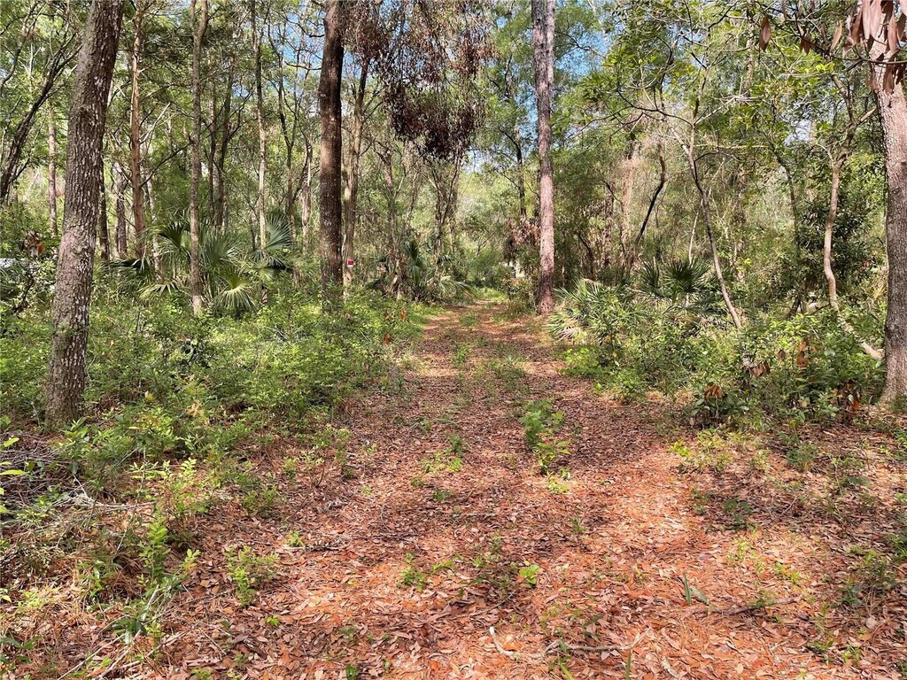 LOT13, 14, 15 NW 56th Pl, Chiefland, FL 32626 - photo 2