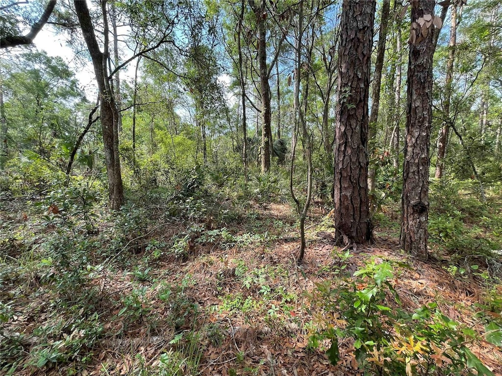 LOT13, 14, 15 NW 56th Pl, Chiefland, FL 32626 - photo 3