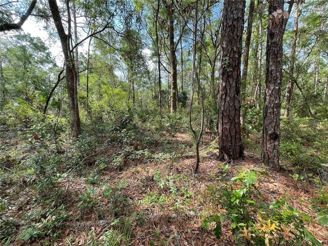 LOT13, 14, 15 NW 56th Pl, Chiefland, FL 32626 - photo 3