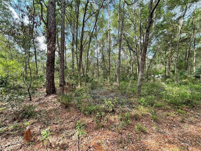 LOT13, 14, 15 NW 56th Pl, Chiefland, FL 32626 - photo 4