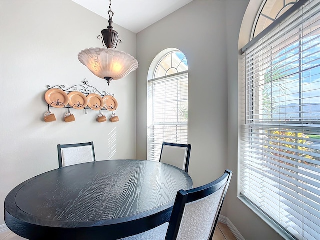 dining area with a healthy amount of sunlight