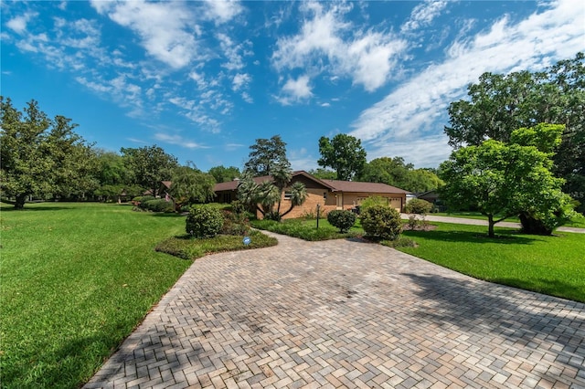 ranch-style house with a front yard