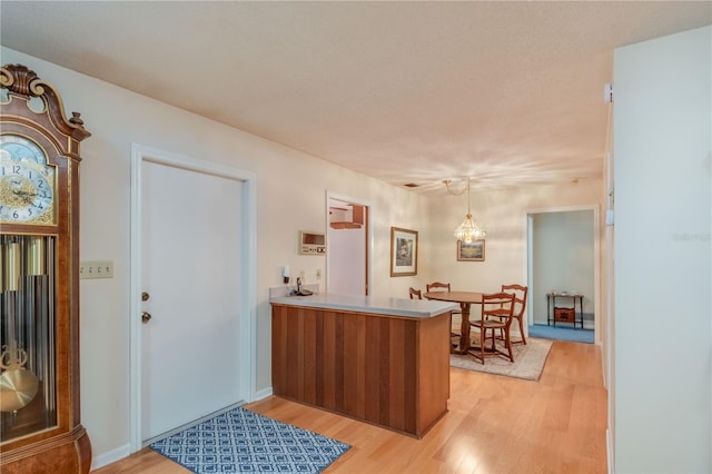 entrance foyer with light hardwood / wood-style flooring