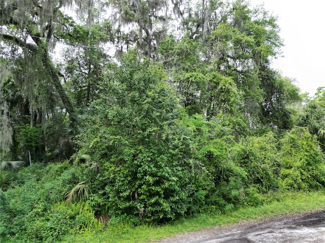 Listing photo 3 for NE 37th Ct, Citra FL 32113