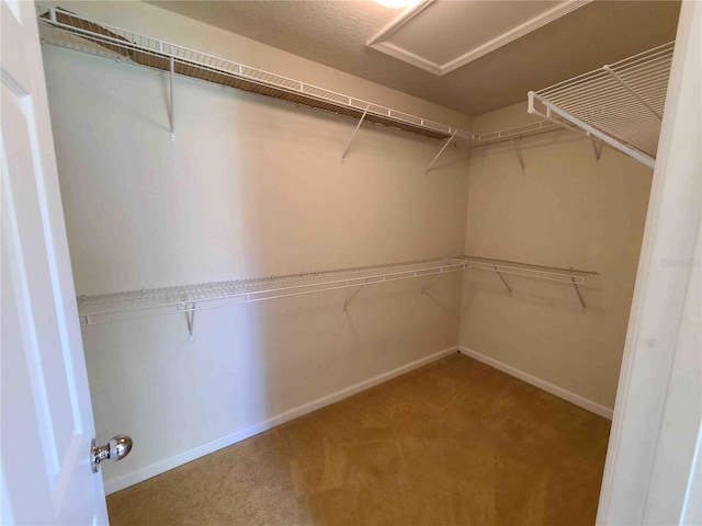 walk in closet with light colored carpet