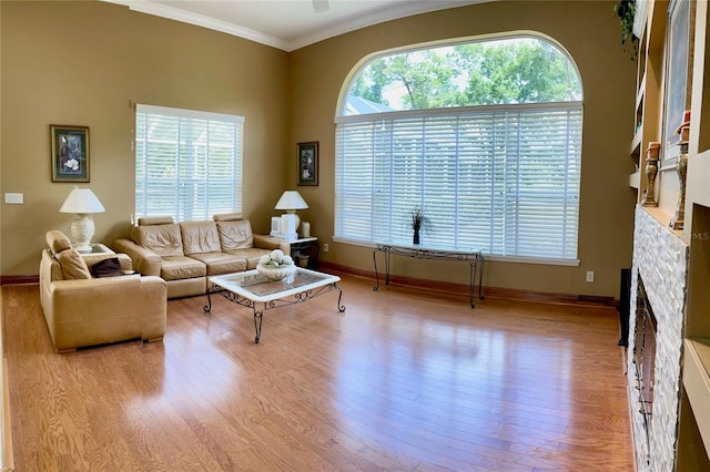 living room featuring ornamental molding and light hardwood / wood-style floors