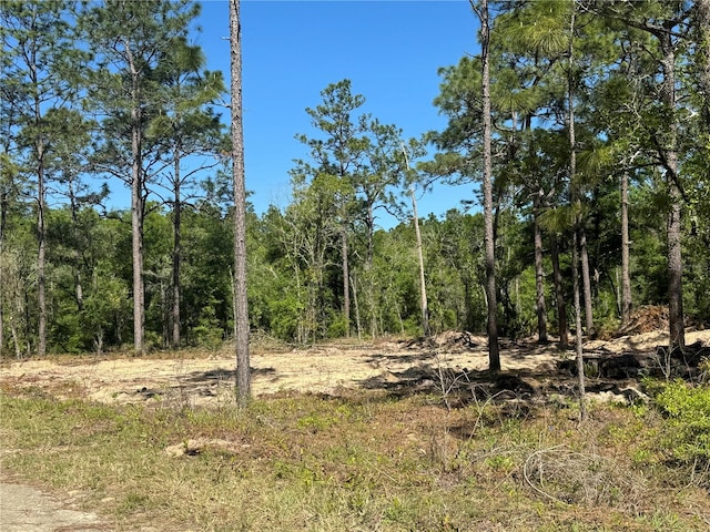 SW 156th Ave, Ocala FL, 34481 land for sale