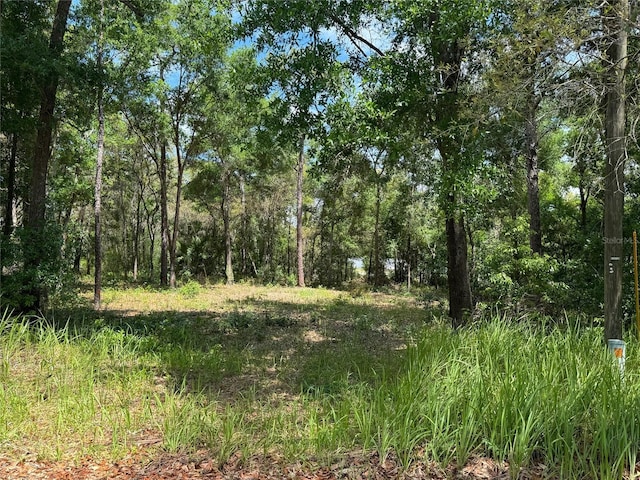 Listing photo 2 for TBD Pine Way Court, Ocala FL 34472