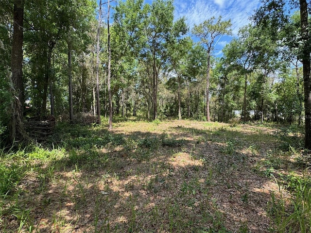 Listing photo 3 for TBD Pine Way Court, Ocala FL 34472