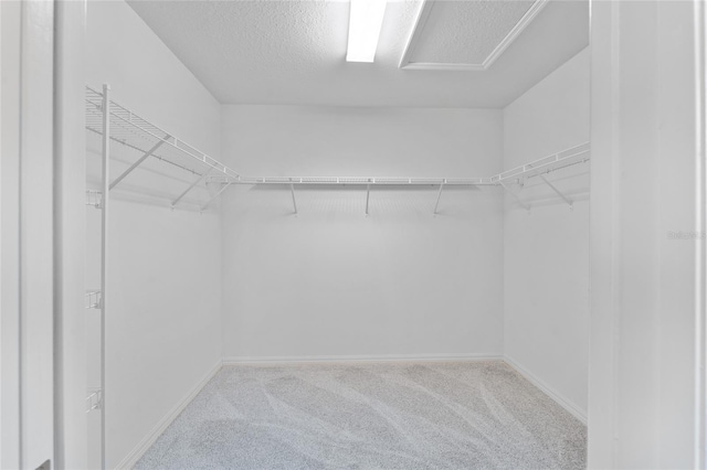 walk in closet featuring light colored carpet