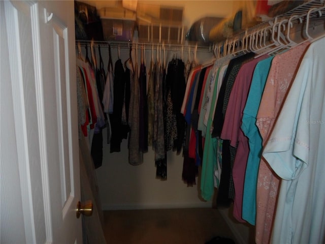 view of spacious closet