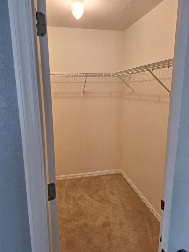 9951 SW 62nd Ter, Ocala, FL 34476 - photo 8