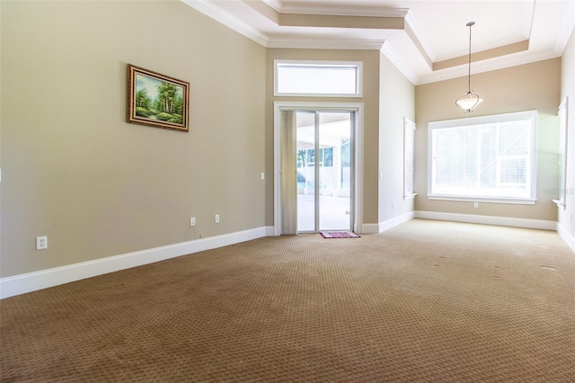 carpeted spare room with a high ceiling, crown molding, and a healthy amount of sunlight