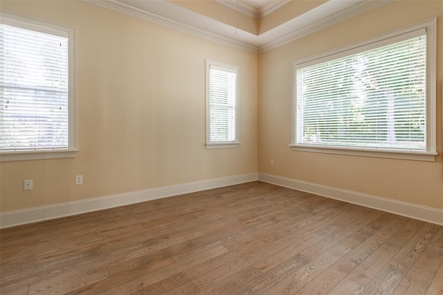 empty room featuring a healthy amount of sunlight, wood-type flooring, and a tray ceiling