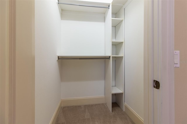 spacious closet featuring carpet