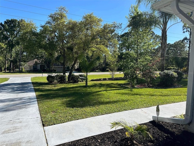 view of home's community with a lawn