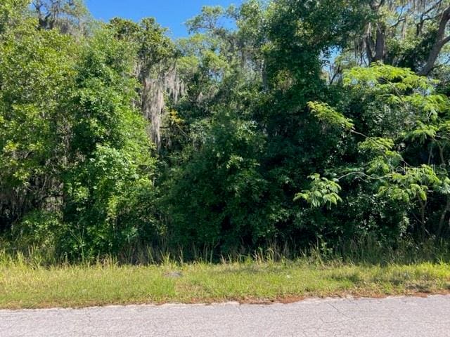 0 SW 176th Loop, Ocala FL, 34473 land for sale