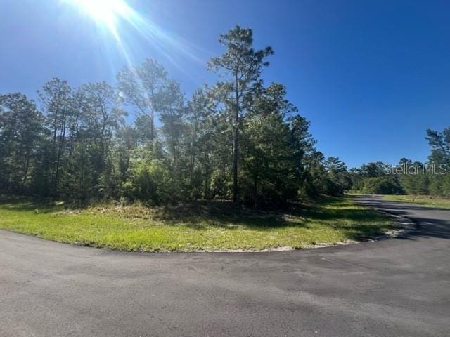 TBD SW 39th Ct, Ocala FL, 34473 land for sale