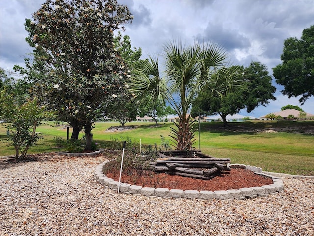 view of community with a lawn