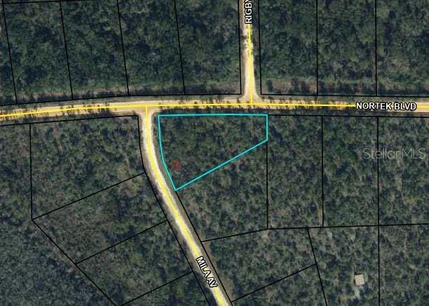 Nortek Blvd, Alford FL, 32420 land for sale