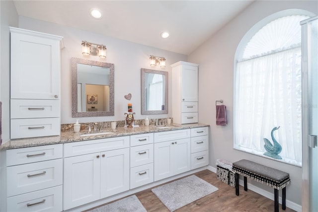 bathroom featuring hardwood / wood-style floors, plenty of natural light, oversized vanity, and double sink