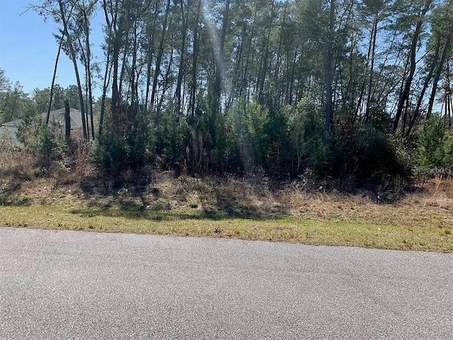 Sw 113 Place, Ocala FL, 34476 land for sale