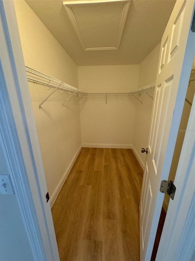 spacious closet with hardwood / wood-style floors