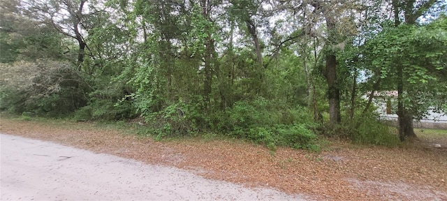 0 NE 153rd St, Fort Mc Coy FL, 32134 land for sale