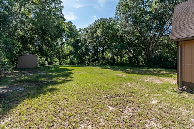 view of yard featuring a storage shed