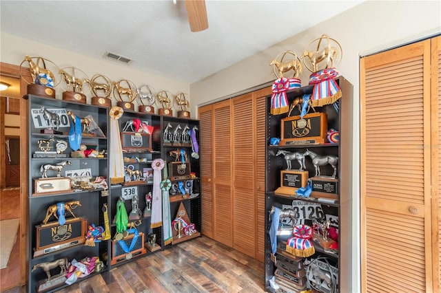 storage area with ceiling fan